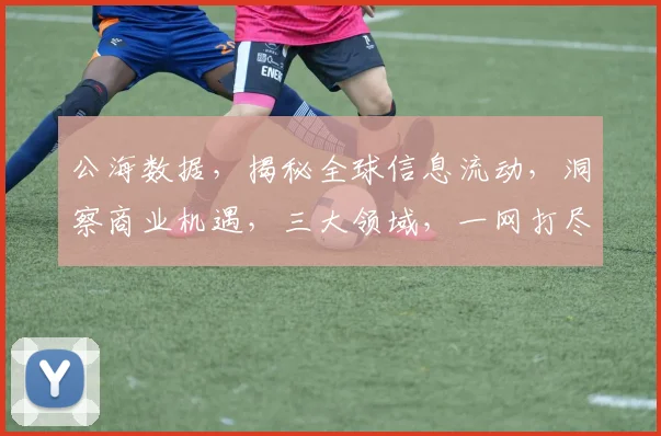 公海数据，揭秘全球信息流动，洞察商业机遇，三大领域，一网打尽，必看