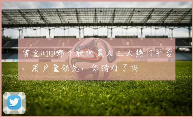 赏金app哪个软件最火三大热门平台，用户量领先，你猜对了吗