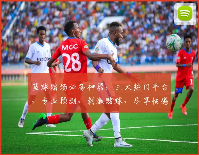 篮球赌场必备神器，三大热门平台，专业预测，刺激赌球，尽享快感，一网打尽