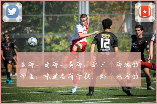 东海、南海、黄海，这三个海域的带鱼，味道各有千秋，哪个地方的带鱼最好吃