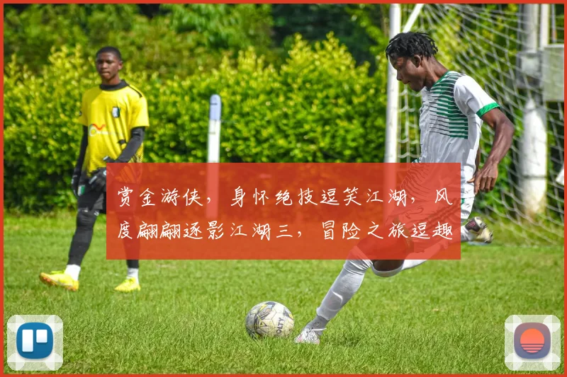 赏金游侠，身怀绝技逗笑江湖，风度翩翩逐影江湖三，冒险之旅逗趣连连，独步天下。